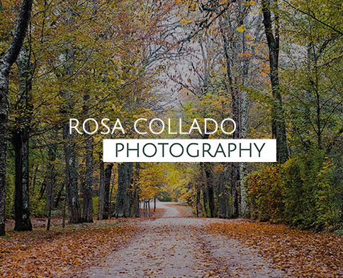 Rosa Collado Photography